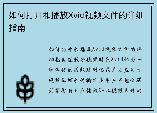 如何打开和播放Xvid视频文件的详细指南